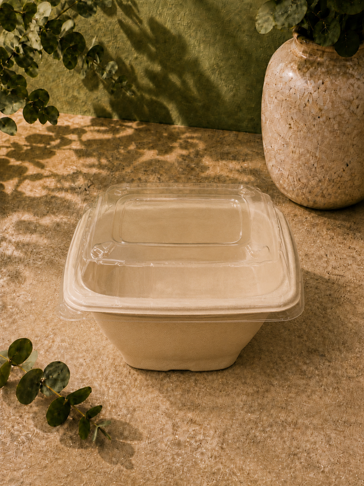 42 oz (1240 ml) square box with transparent lids: